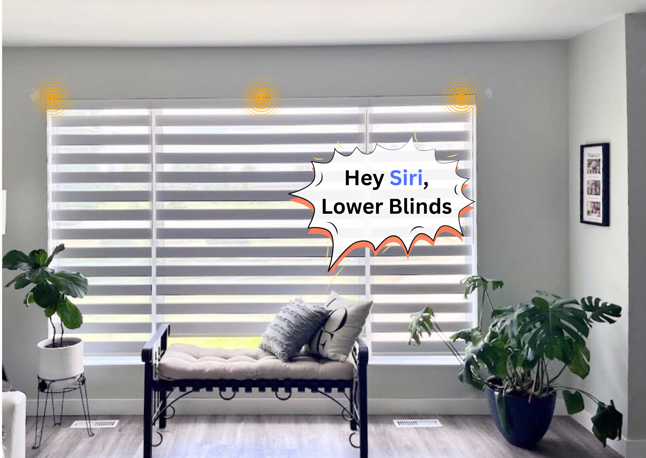 smart blinds