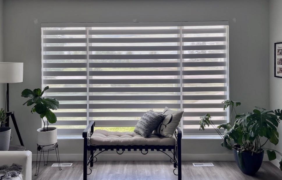 Brighten Your Home With Custom Made Motorized Zebra Blinds in Winnipeg