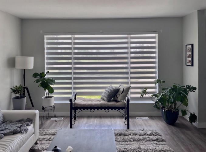 Transform your Winnipeg Home with Custom Motorized Zebra Blinds